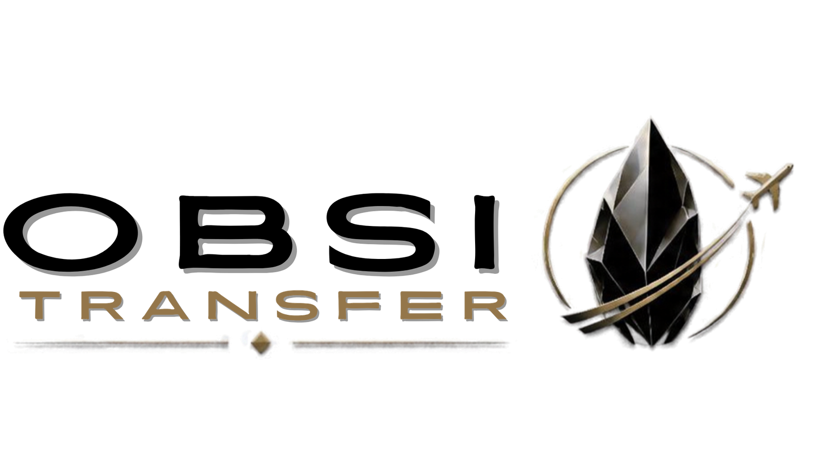 obsitranfer.com